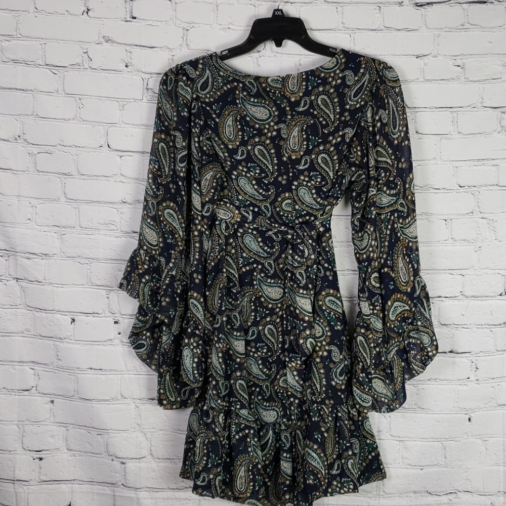 Betsey Johnson Bambi ruffle paisley dress - Picture 5 of 7